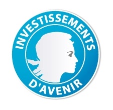 Logo Investissements d'avenir