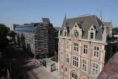 Rizomm © G. Leroy - Université Catholique de Lille