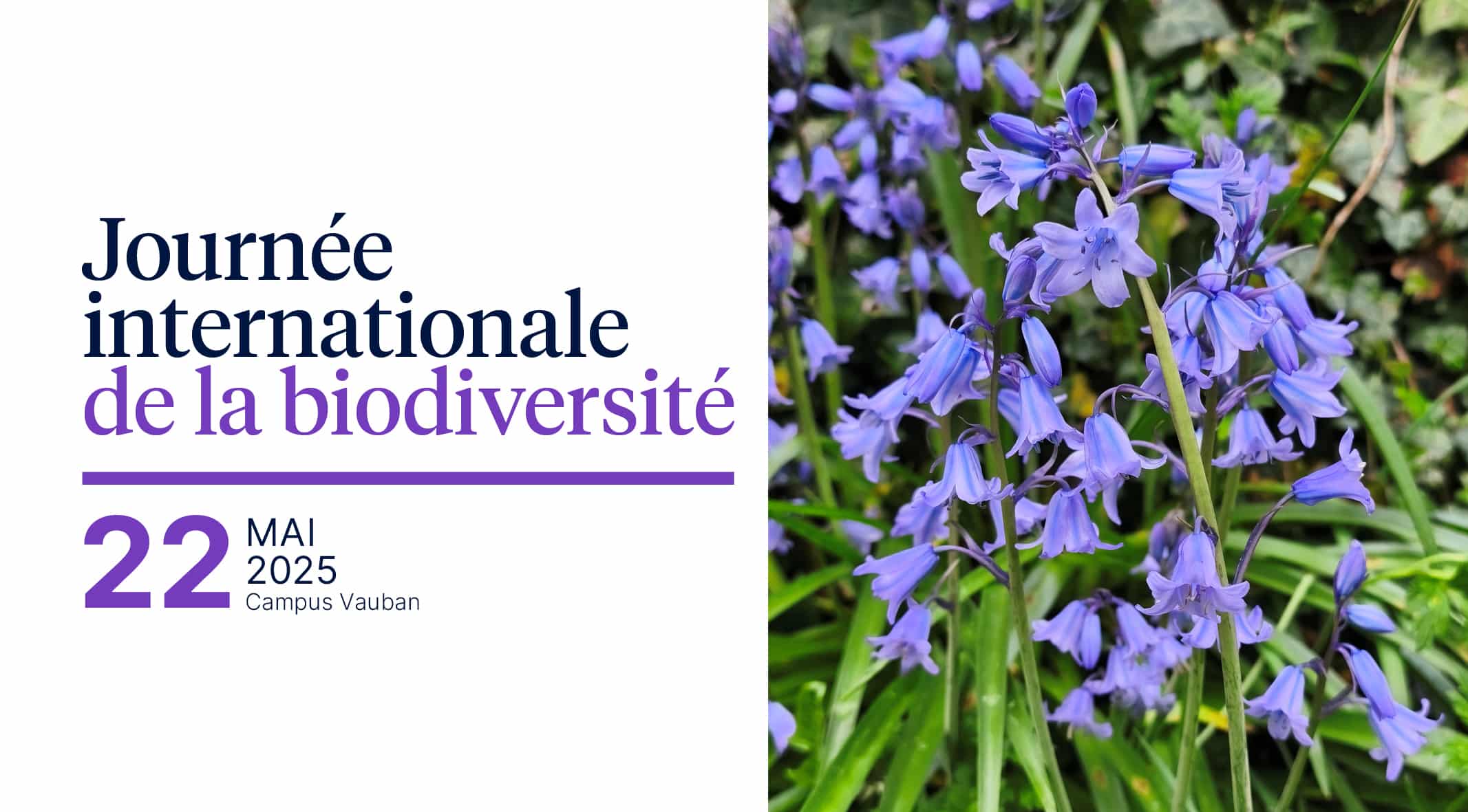 Journée de la biodiversité