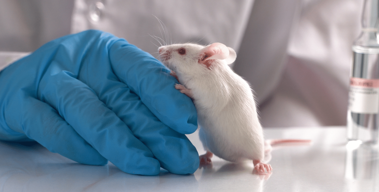 C3RD / L’expérimentation animale : rencontre du droit et de la science 