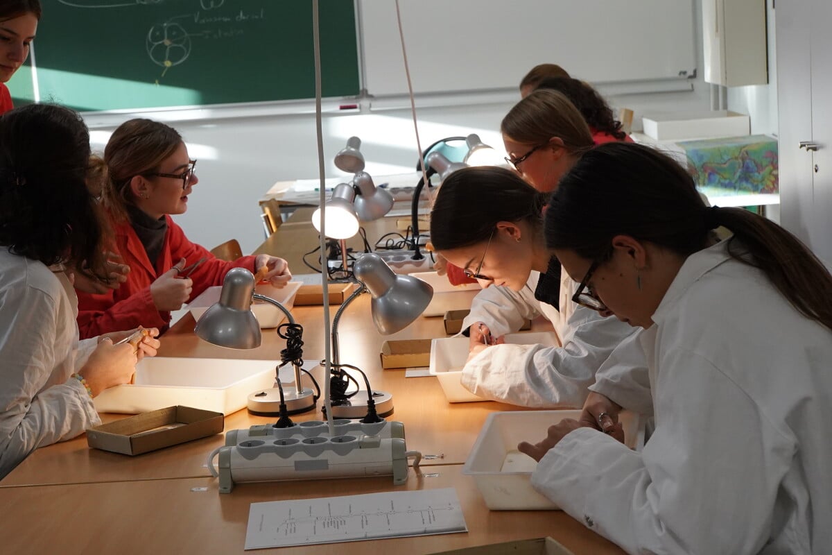 Immersions_des_Lyceens_-_Novembre_2025-Universite_Catholique_de_Lille-4634-1200px