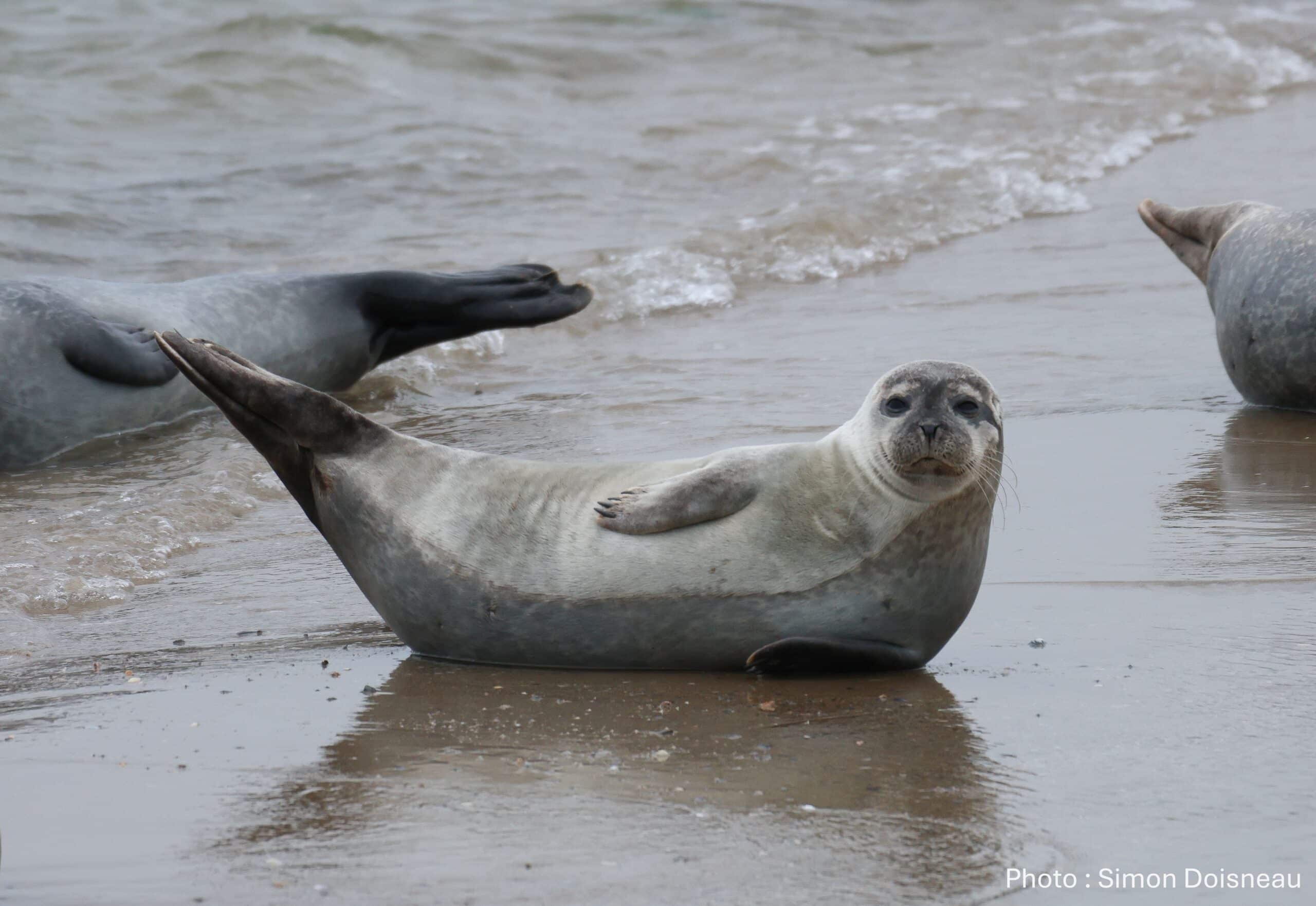 Concours photo – Regards sur la biodiversité et l’eau