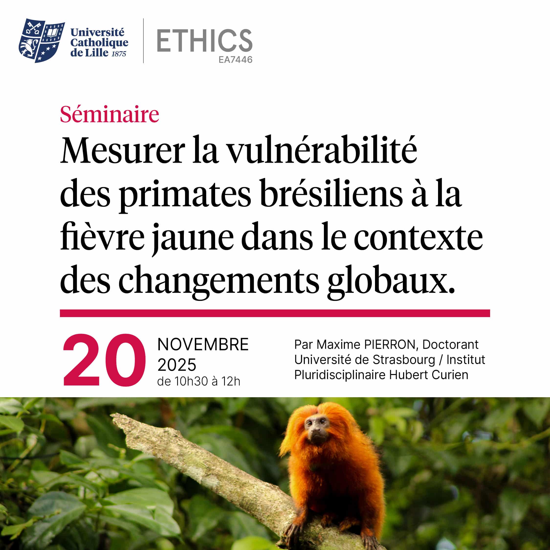 Séminaire Anthropo-Lab « Mesurer la vulnérabilité des primates brésiliens à la fièvre jaune dans le contexte des changements globaux »