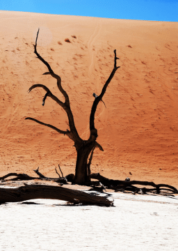 Talks - vivre ou survivre