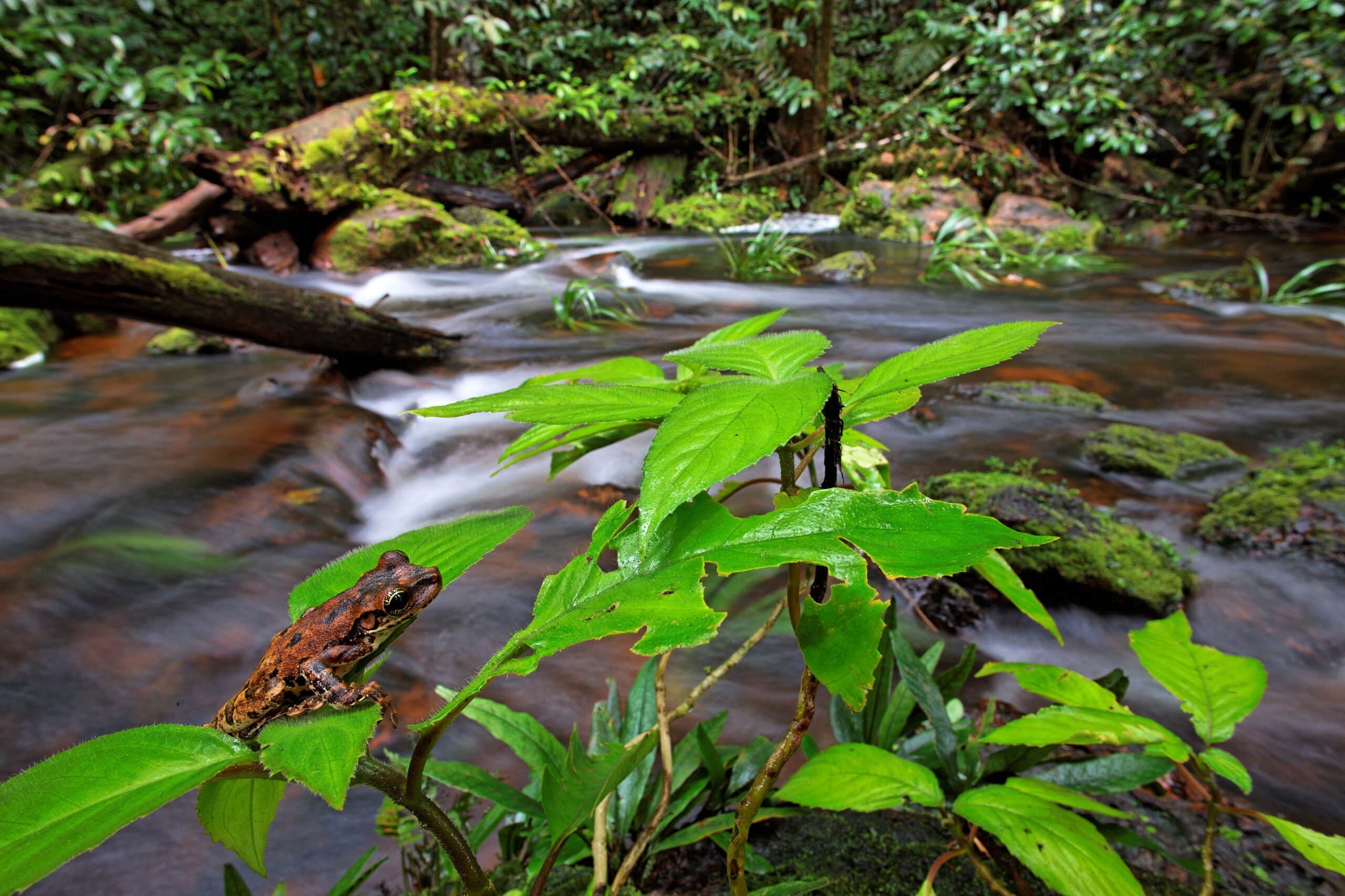 Journée de l&rsquo;eau et de la biodiversité
